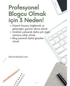 profesyonel blogculuk